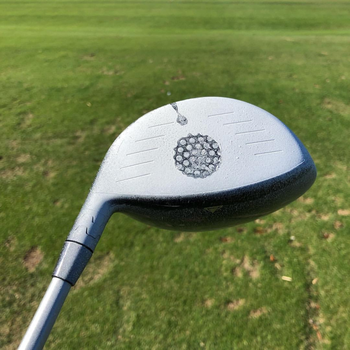 Golf club head with a close-up of the clubhead design on a grassy background