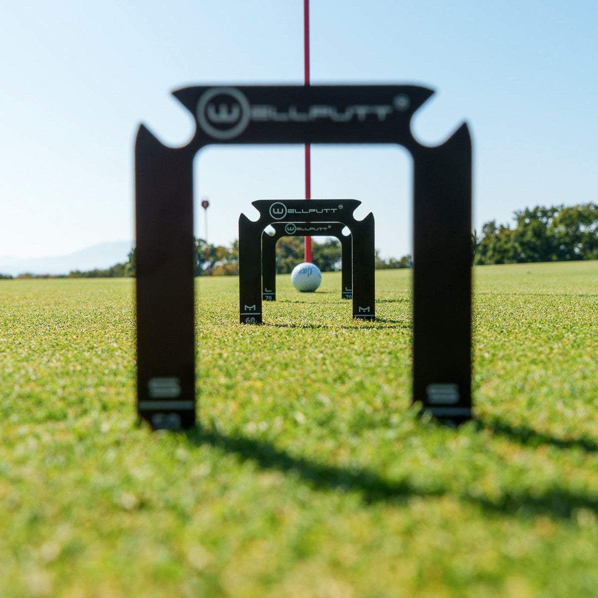 Wellputt Wellgate image 9