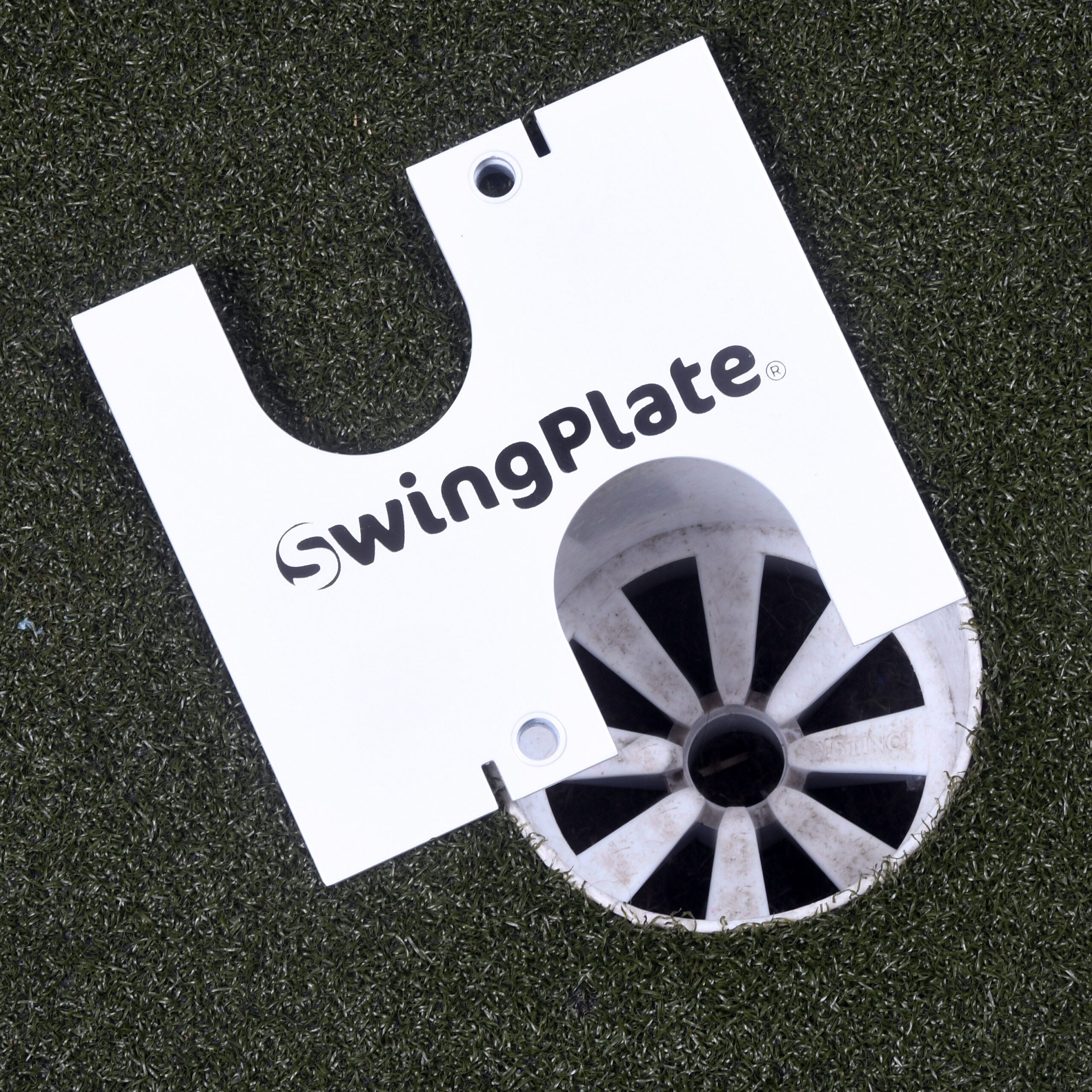 The Swing Plate Putting Gate image 9