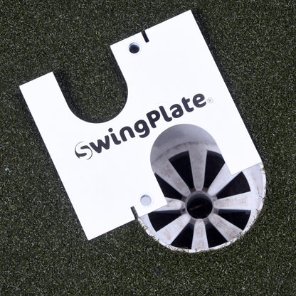 The Swing Plate Putting Gate image 9