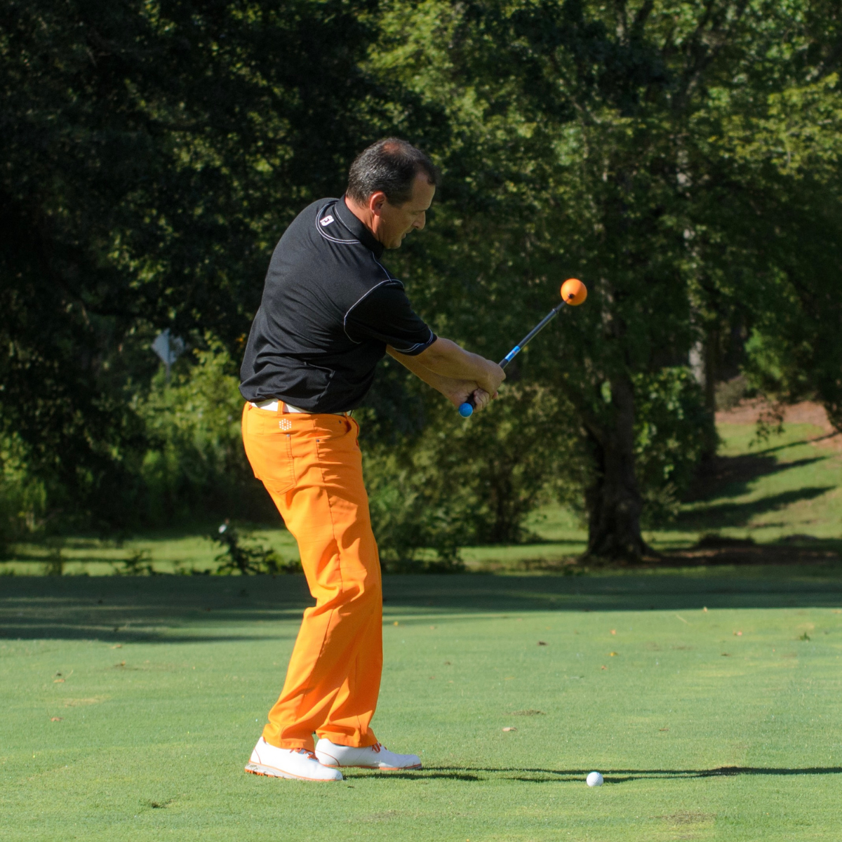 Man in black shirt and orange pants playing golf on a green course with trees in the background