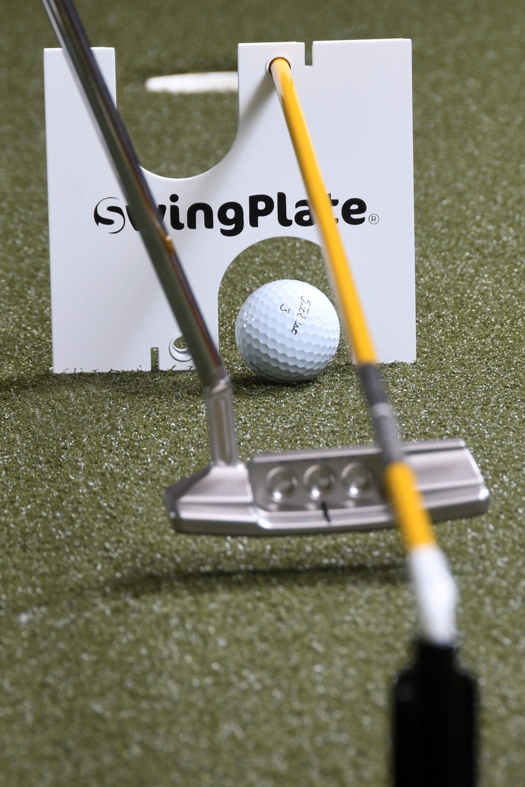 The Swing Plate Putting Gate image 8